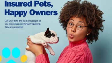 Pet Insure KEK Enterprise Insurance partnership