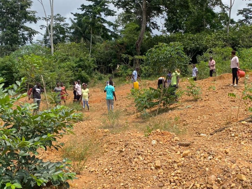 Greenstoration Ghana Land Restoration Project Akyem Tumfa 