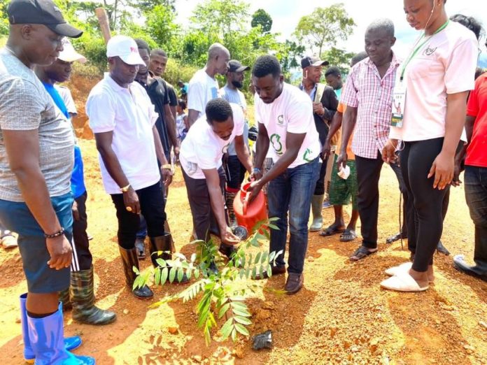 Greenstoration Ghana Land Restoration Project Akyem Tumfa